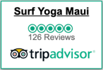 TripAdvisor Badge